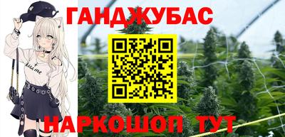 гашик Ливны