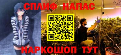 не бодяженный Лесосибирск