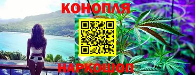 гашик Ливны