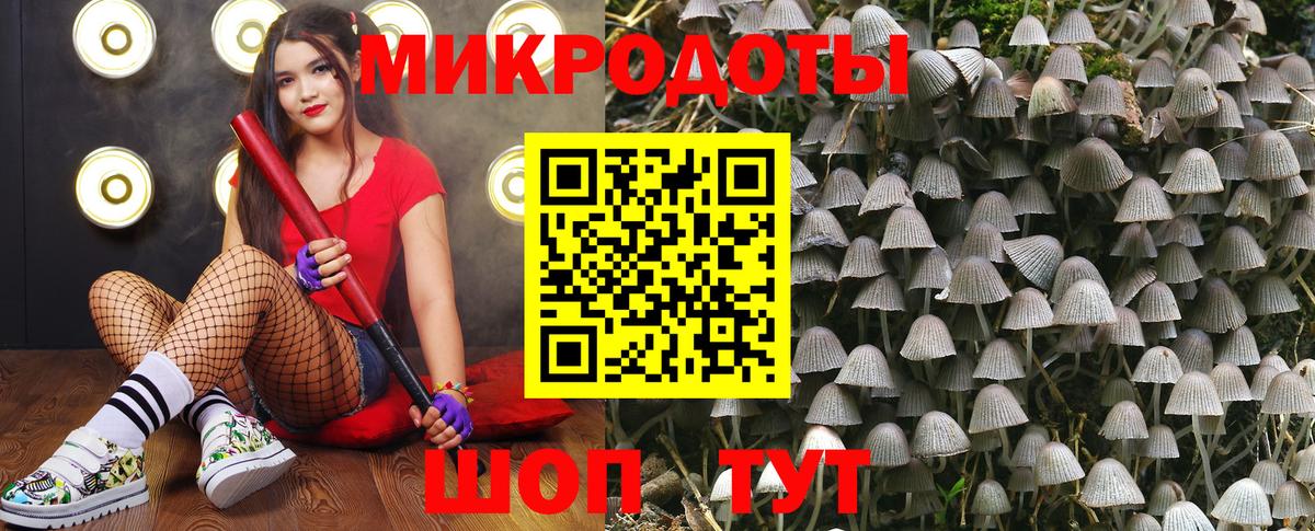 Псилоцибиновые грибы Psilocybe  Галлюциногенные грибы ЛСД  Вход с VPN  Тихвин 