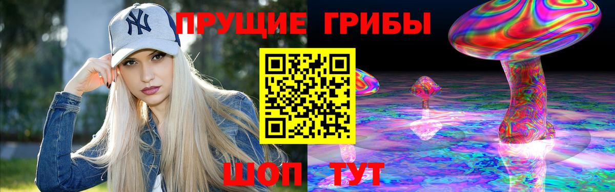 Псилоцибиновые грибы Cubensis Тихвин